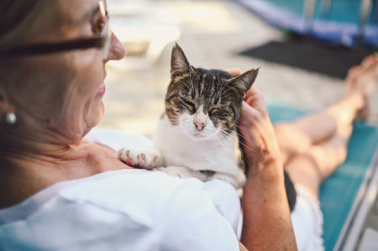 chat_et_personne_agee