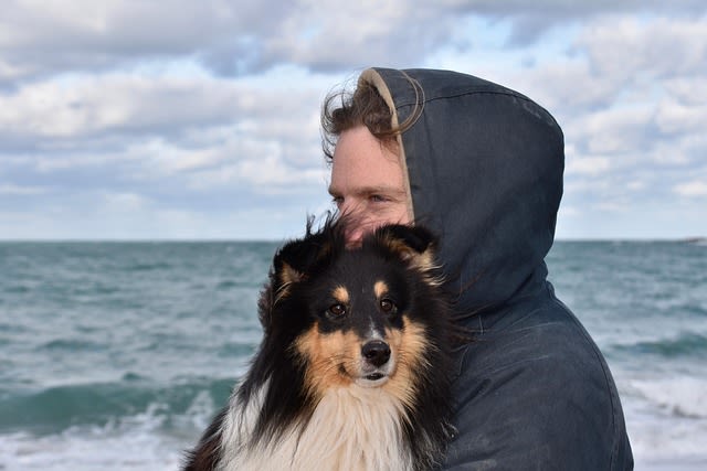 Chien et son maitre