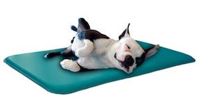 Tapis Rafraîchissant Pour Chien Et Chat – 62 X 50 Cm – Auto-refroidissant, Lavable – Pour Canapé, Voiture, Sol - 5