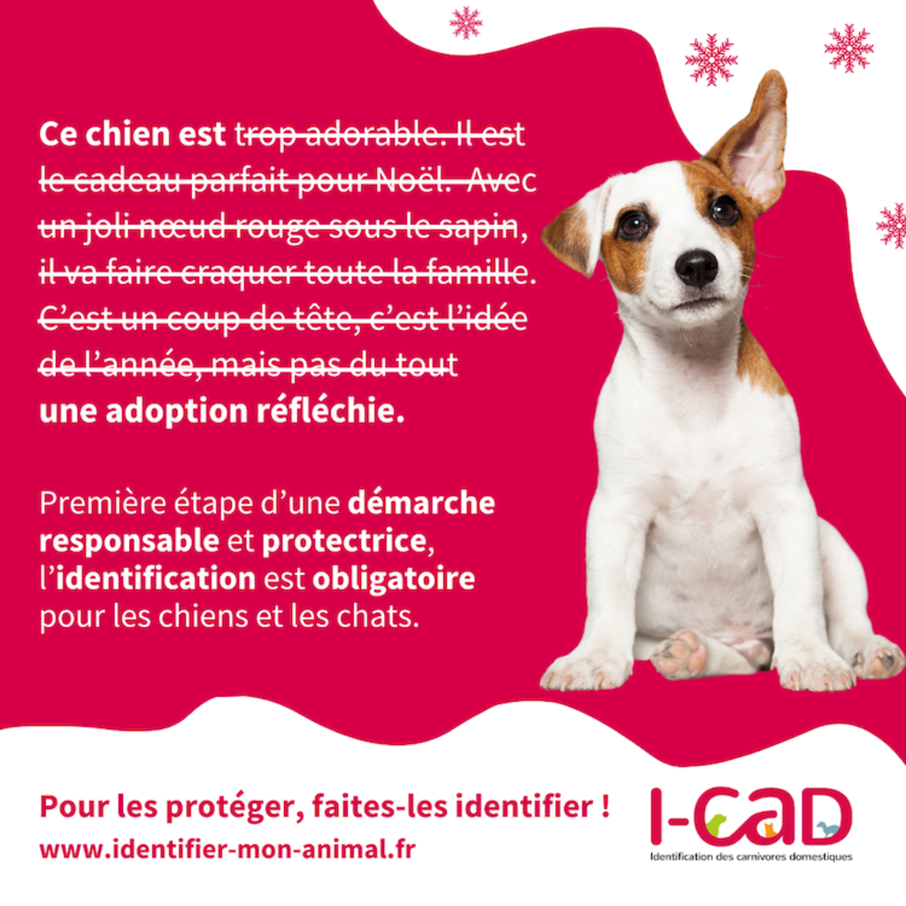 chien_cadeau_noel_I_CAD