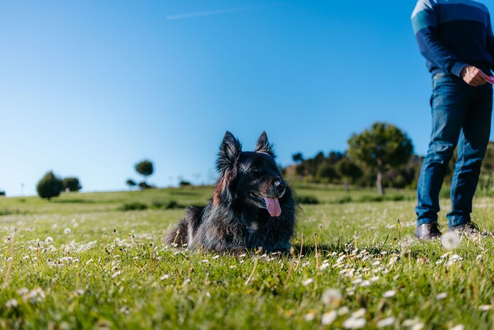 Selfie van een vrouw en een zwarte hond