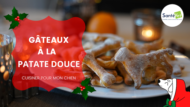 recette_pour_chien_gateaux_a_la_patate_douce