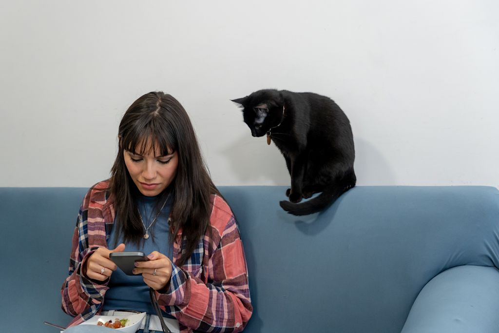 chat proche de sa maitresse