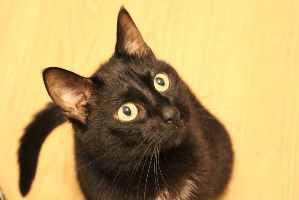 Es können schnell hohe Kosten entstehen