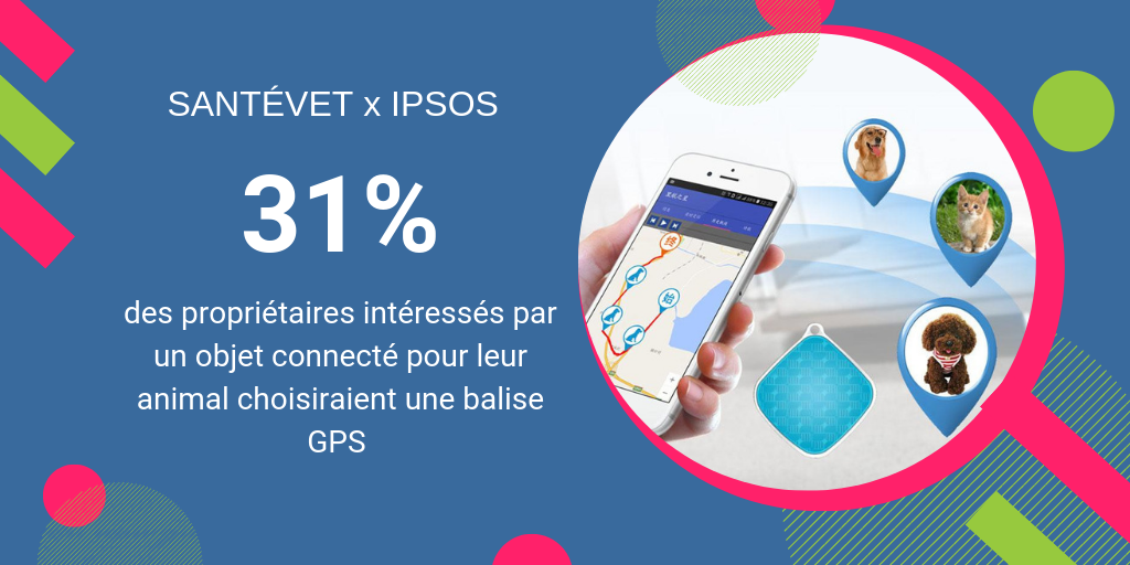 balise GPS chien