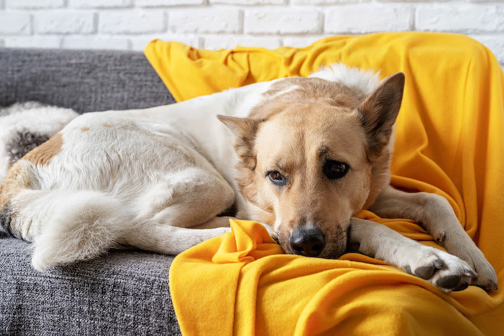 Come riconoscere l'artrosi