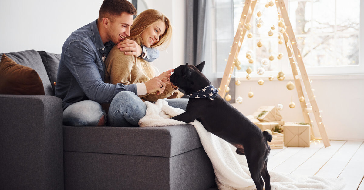 como se pasea un perro con un recien nacido