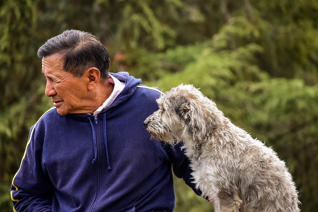 chien et retraité