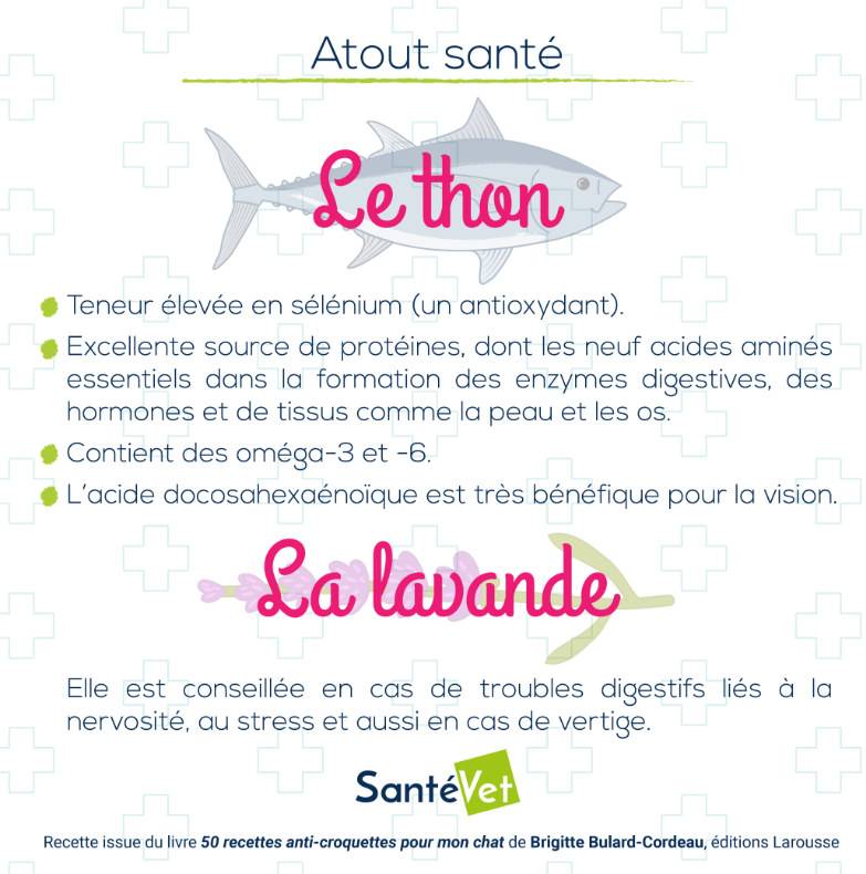 les atouts santé de la recette de thon à la lavande pour chat