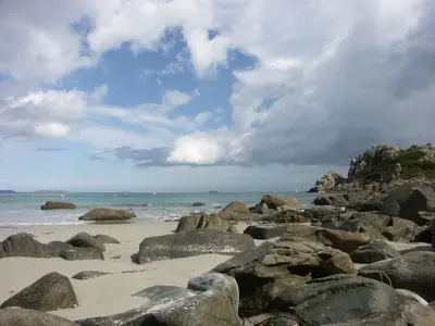 algues vertes en Bretagne