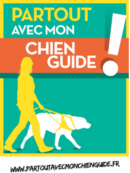 partout avec mon chien guide mars 2015-3