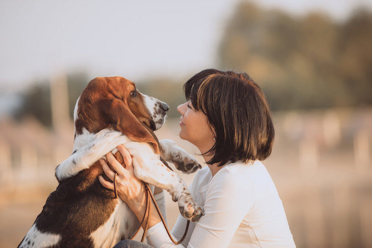 chien_amoureux_de_sa_maîtresse