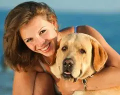 Vacances : 37 % des femmes estiment que leur chien leur manque plus que leur conjoint - Actualité - Chien