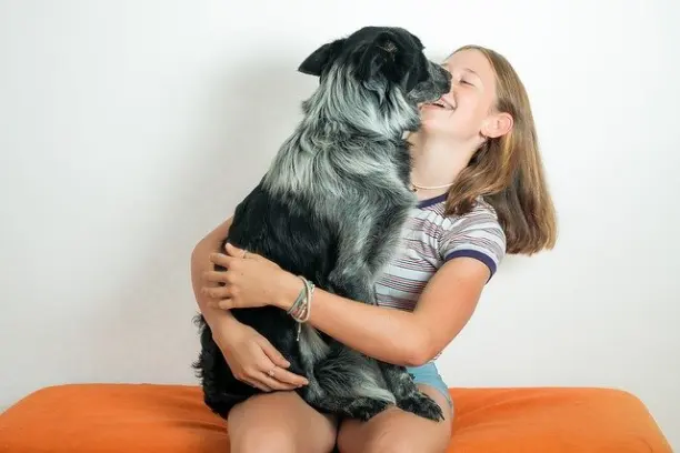 Soins, Bien-être & Confort canin