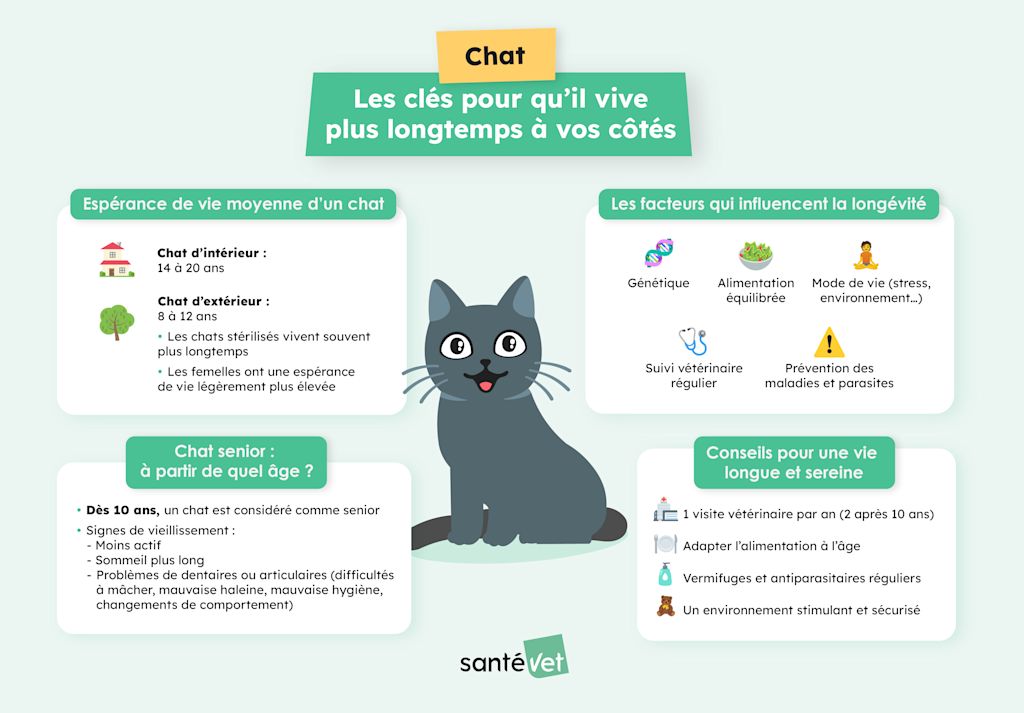 chat espérance de vie