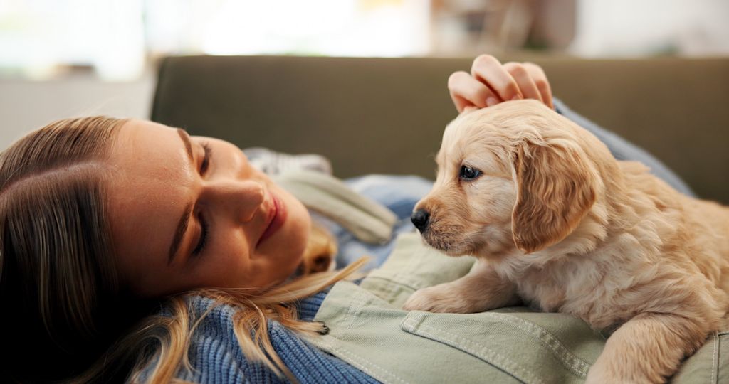 chiot en mode calin