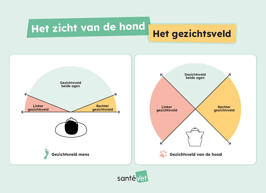 Het zicht van de hond