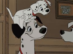 101 dalmatiens 15 noms de chiots