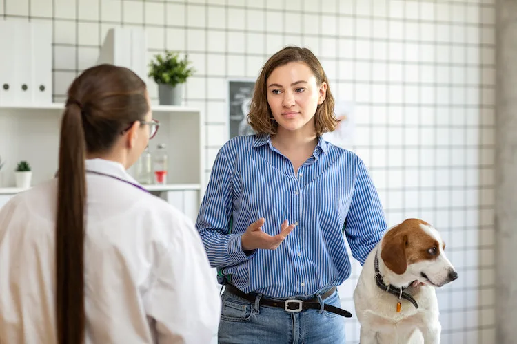 Pourquoi mon chien ne boit pas et que faire ? Santévet