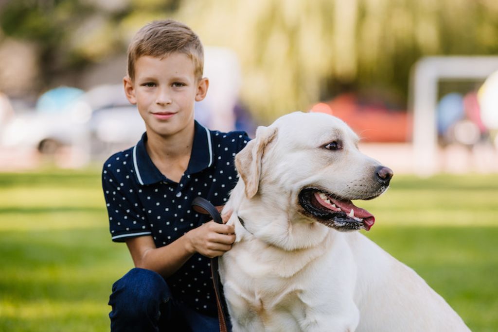 enfant et chien guide d aveugle