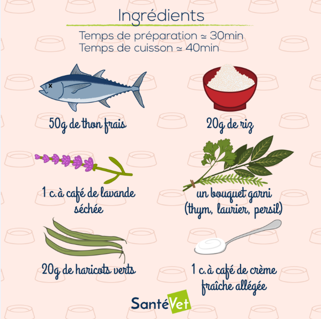 ingredients-recette-au-thon-pour-mon-chat