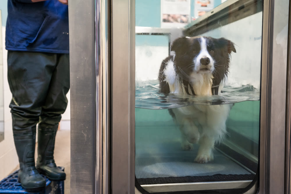 Hydrotherapie zur Stärkung der Muskulatur