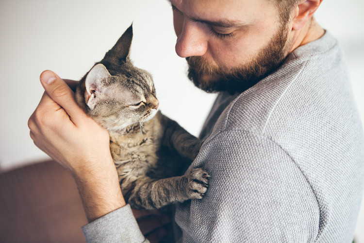 le chat est sociable et très affectueux