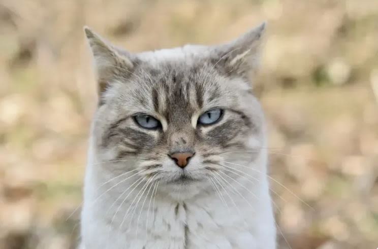 Cuándo acudir a urgencias.