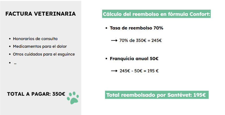 imagen blog