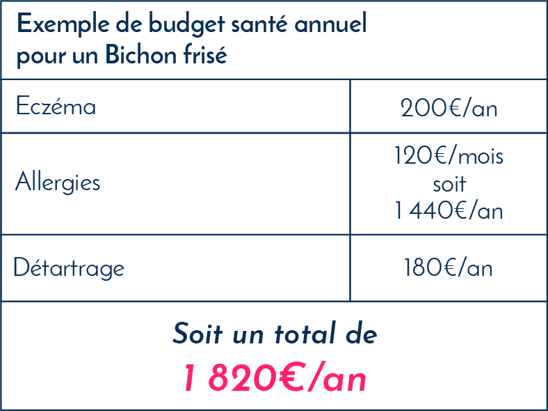 Bichon_frisé_exemples_frais_vétérinaires