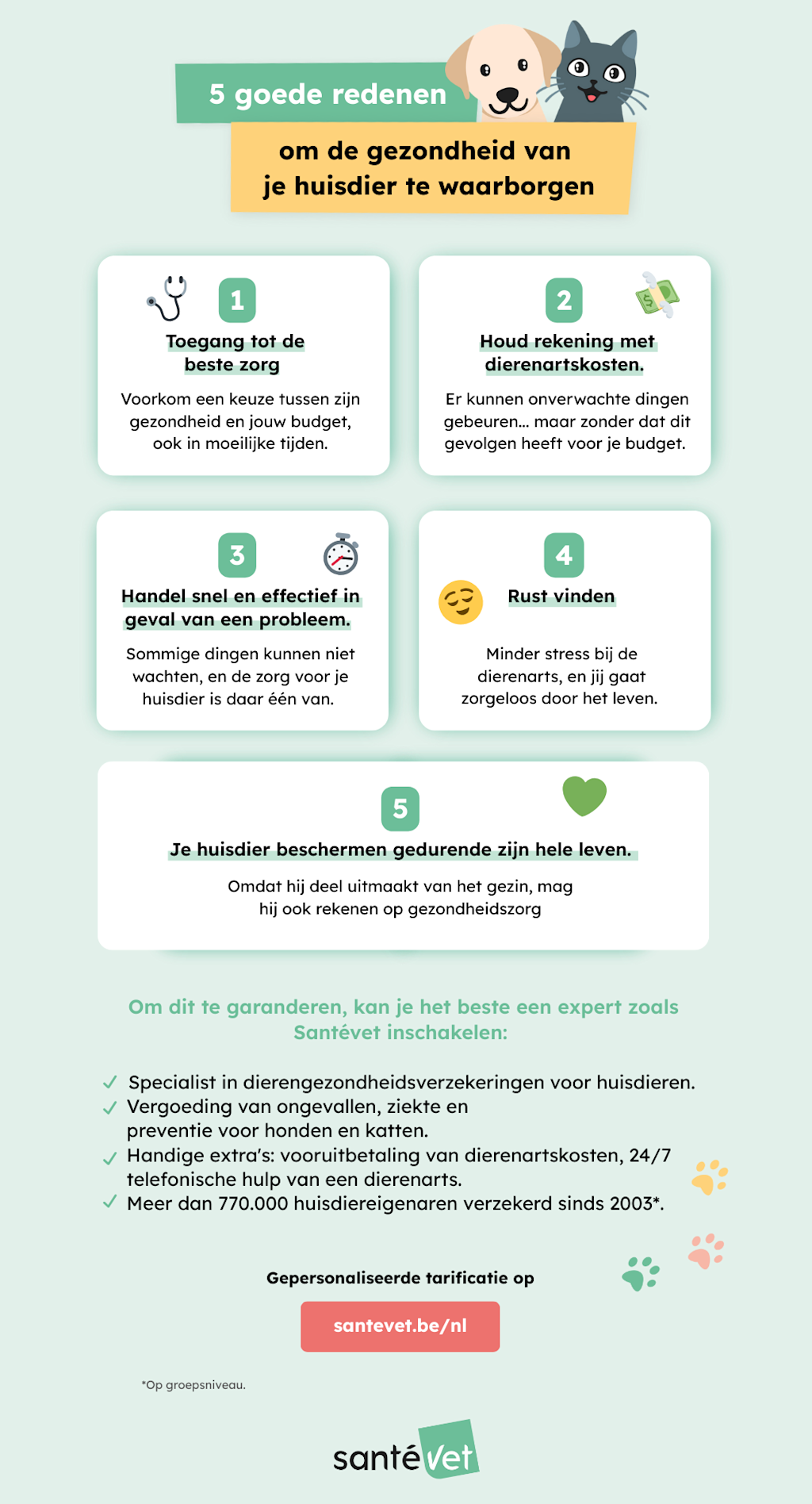 Waarom een dierenverzekering afsluiten?