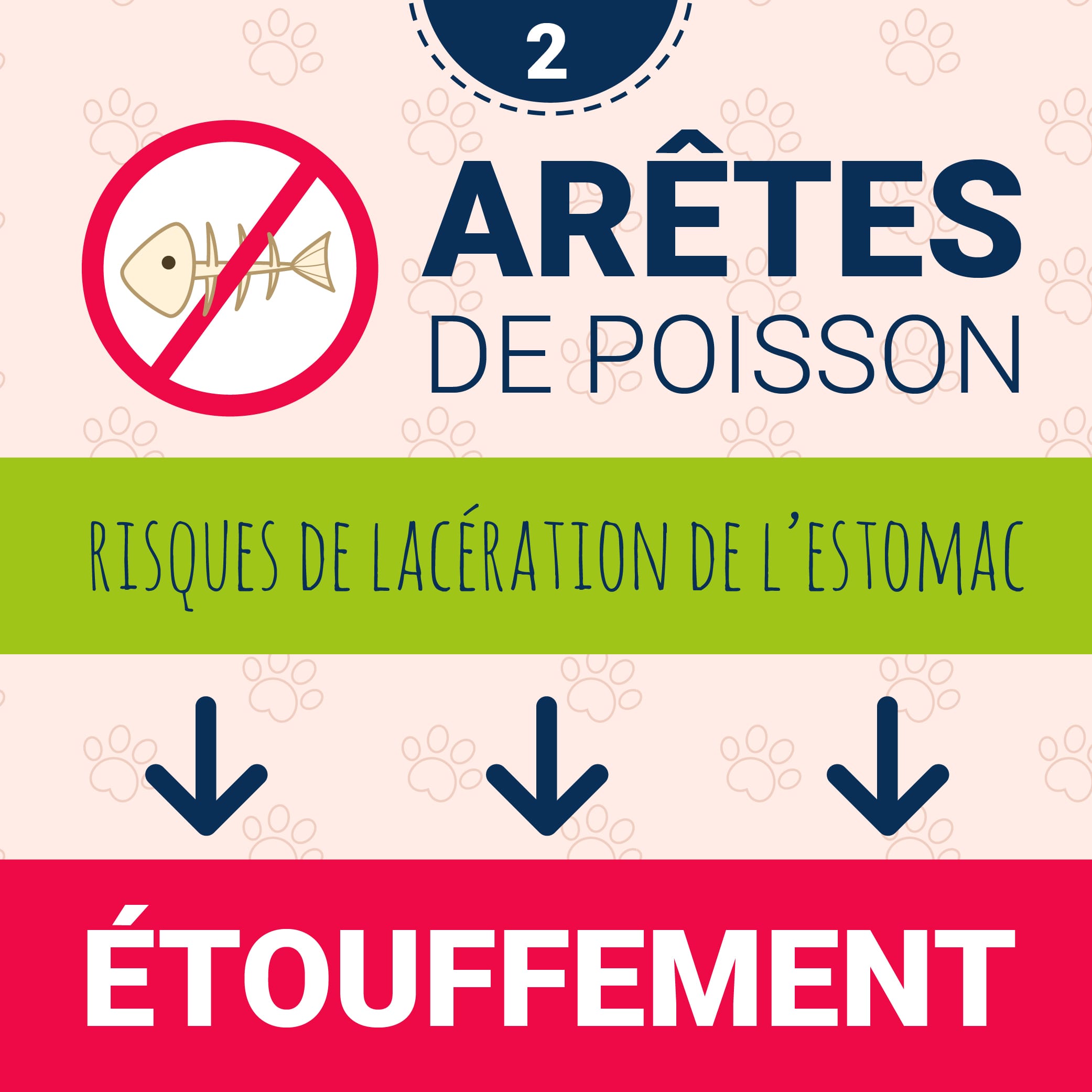 les arêtes de poisson sont un véritable danger pour votre chien