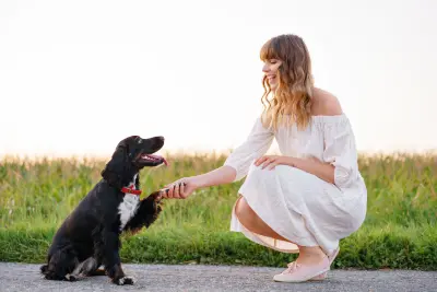 Pourquoi le chien est-il le meilleur ami de l'homme ? - comportement chien  - chien - SantéVet