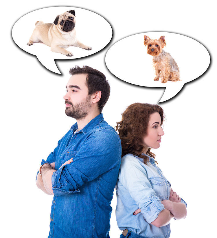 permis_pour_chien_certificat_de_connaissances