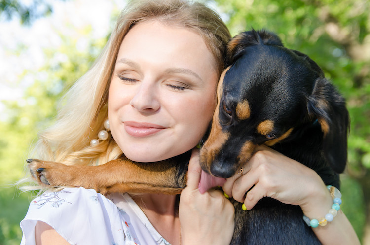 chien fidélité et affection