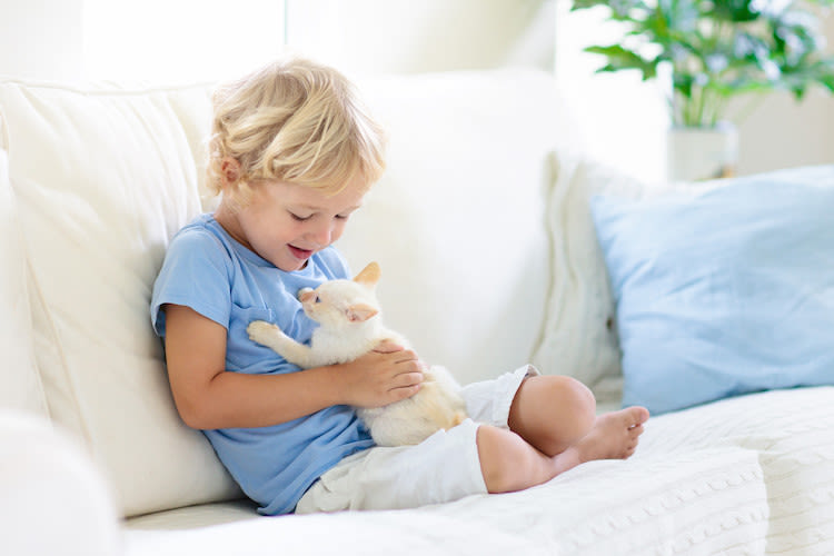 chat et enfant allergie