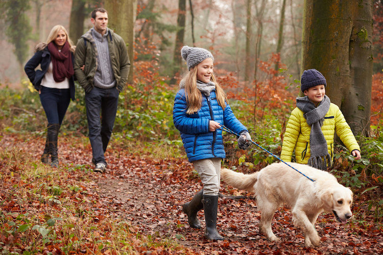 promenade_avec_son_chien_saison_de_chasse
