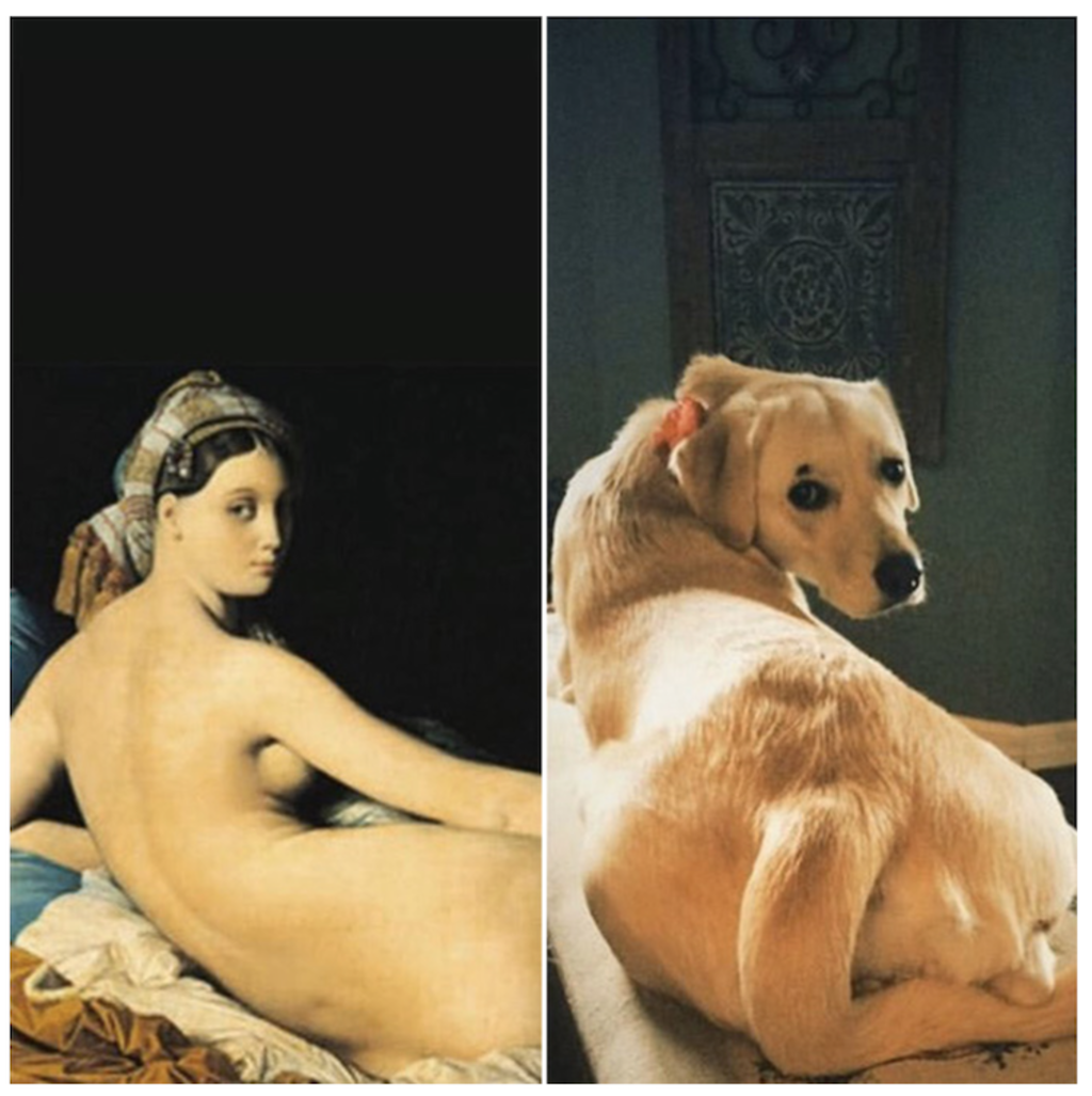 getty_museum_challenge_chiens_chats_nac_4