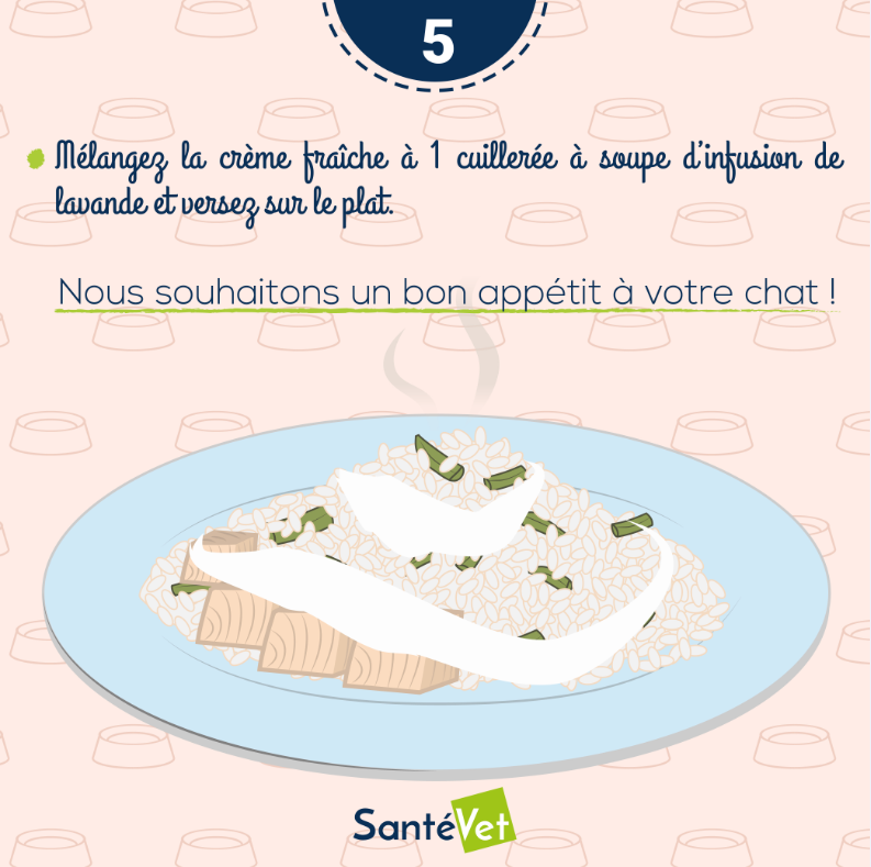 recette de thon à la lavande pour chat - étape 5