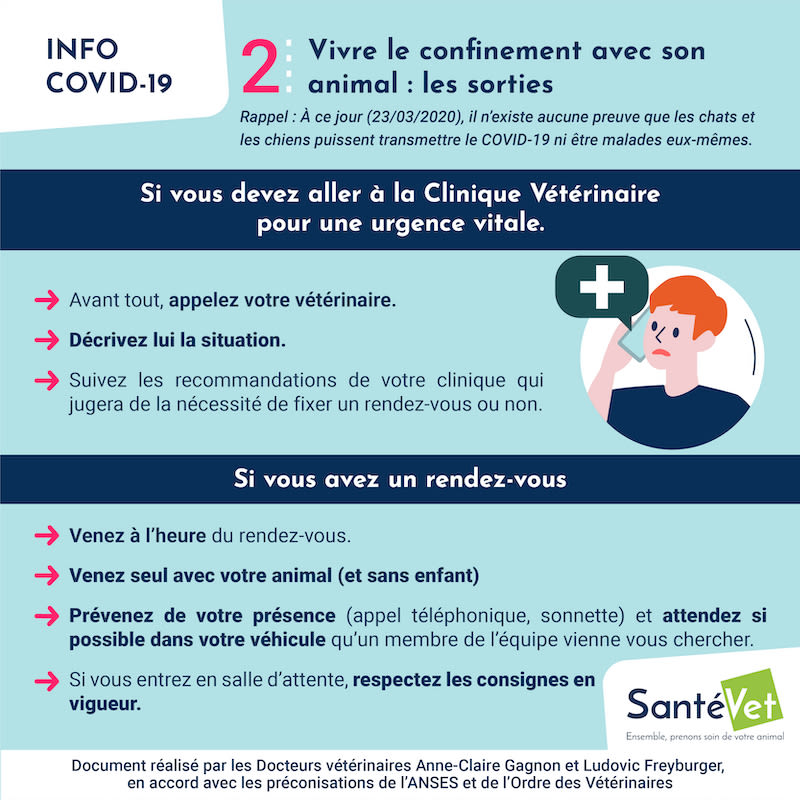 INFOGRAPHIES_COVID19_Vivre le confinement avec son animal - les sorties 3