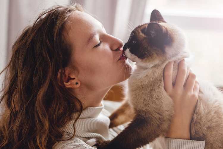 chat et signes d'affection