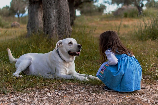 Chien et enfant