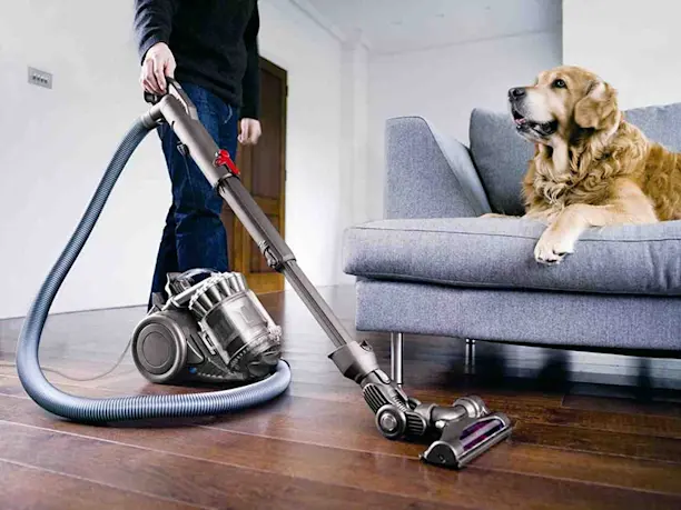 Dyson pense entretien du chien et… maison plus saine - Soins et entretien -  Chien - Santévet