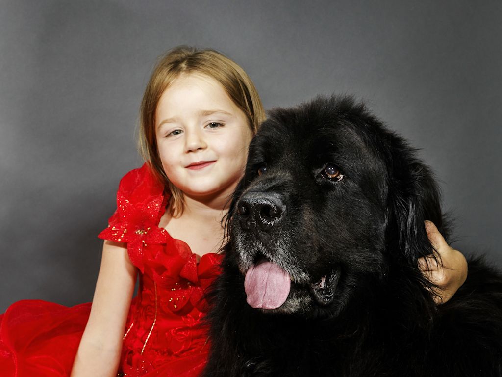 terre neuve et petite fille