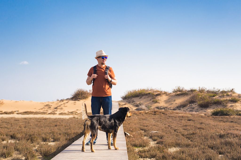 promenade avec un chien