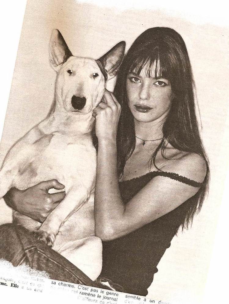 jane_birkin_bull_terrier