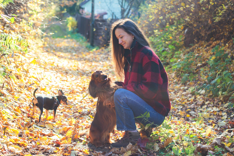 quels vaccins pour le chien à la campagne