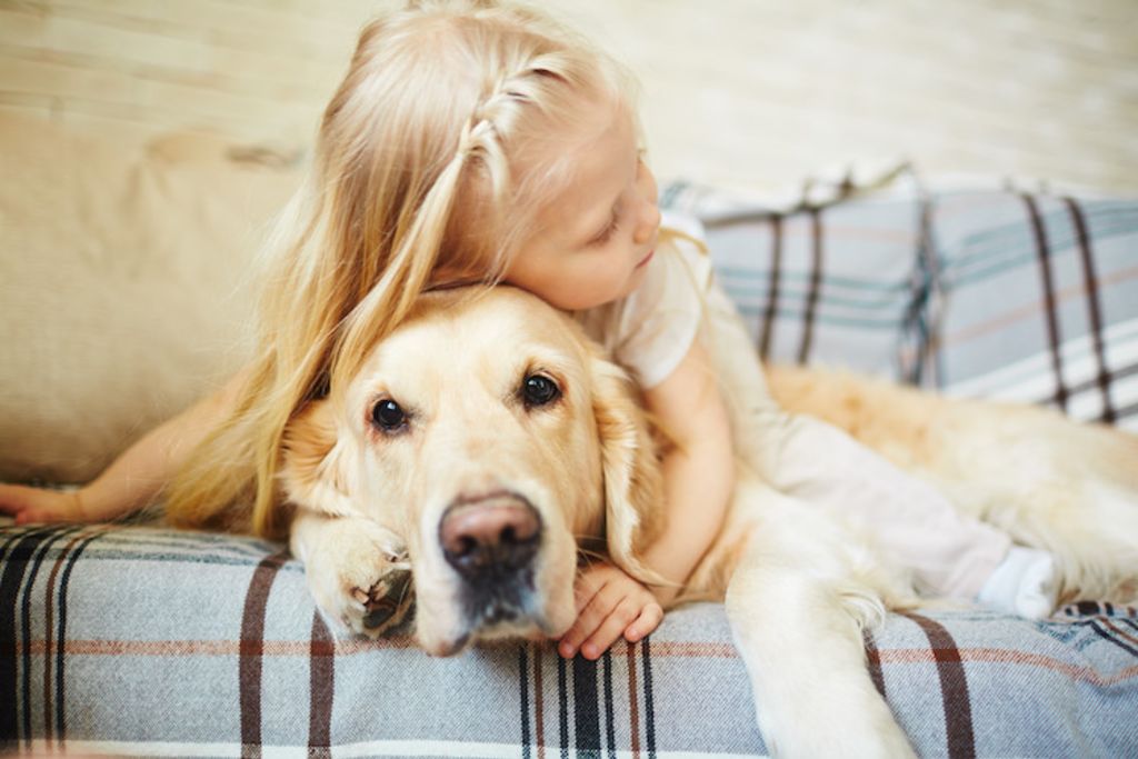 chien puces et enfants