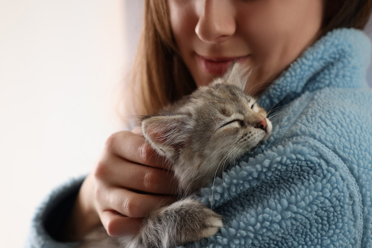 âge stérilisation chaton