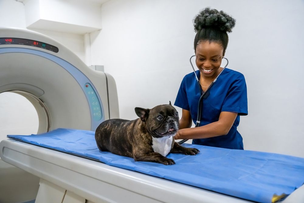 Ein MRT kann nötig sein